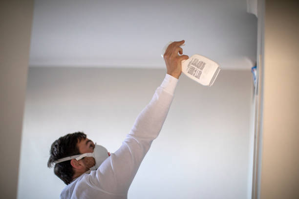 Trusted Laurence Harbor, NJ Mold Remediation Experts
